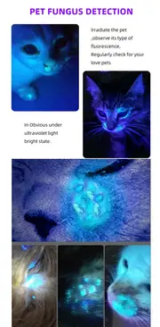alonefire sv66 uv zoom flashlight led 365nm usb rechargeable ultraviolet check invisible ore money pets stain cat tinea marker details 9