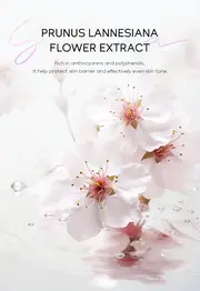 sakura makeup remover water plant extracts cleansing water 100ml 3 38oz face eye lip cleansing liquid refreshing cosmetic details 5