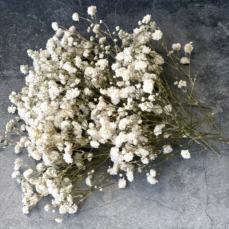 105 mini dried flower bouquets teens